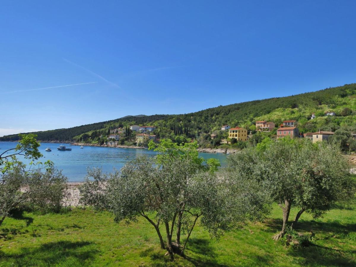 Holiday Home Andrea - Lbn415 By Interhome Labin  Buitenkant foto